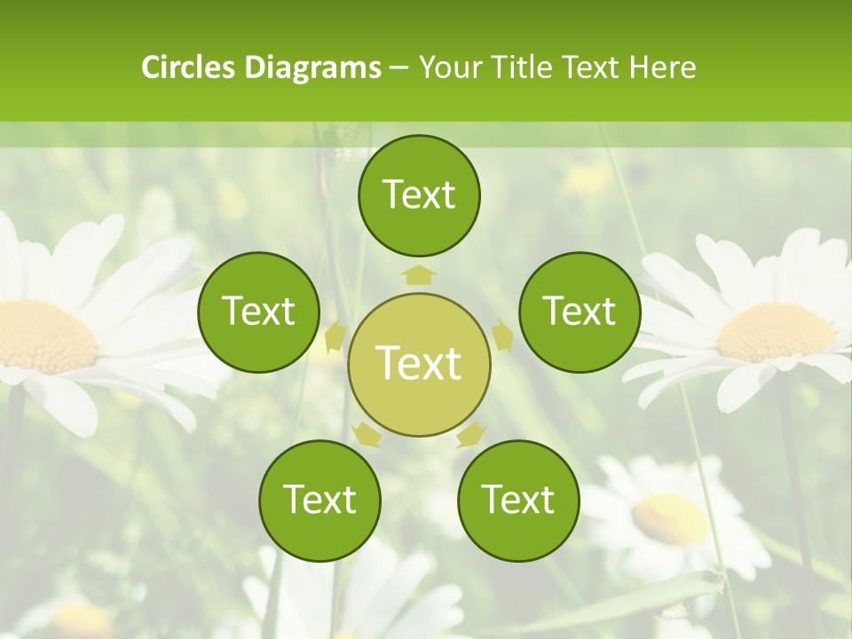A Field Of Daisies Powerpoint Template PowerPoint Template