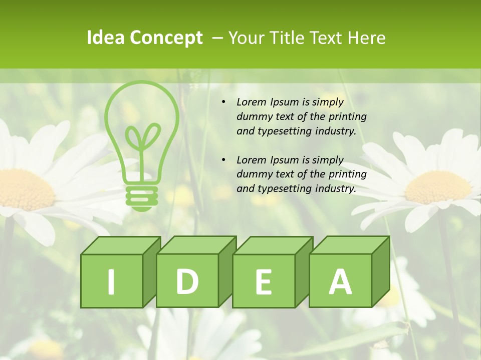 A Field Of Daisies Powerpoint Template PowerPoint Template