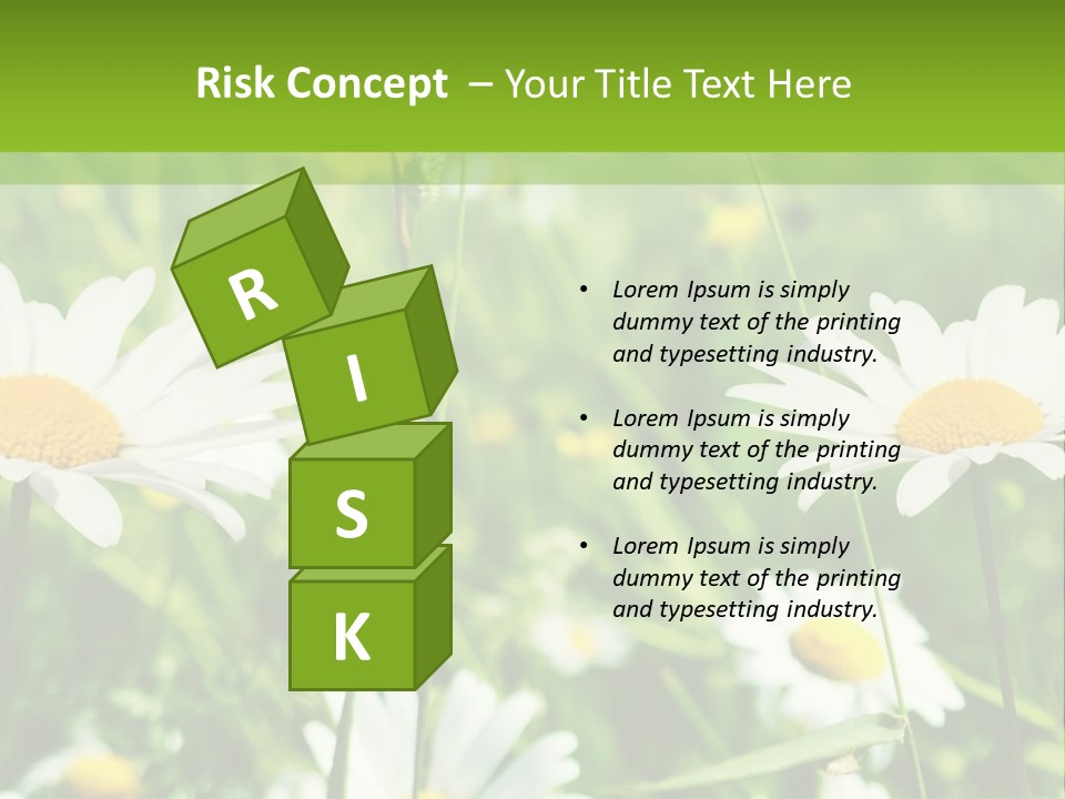 A Field Of Daisies Powerpoint Template PowerPoint Template