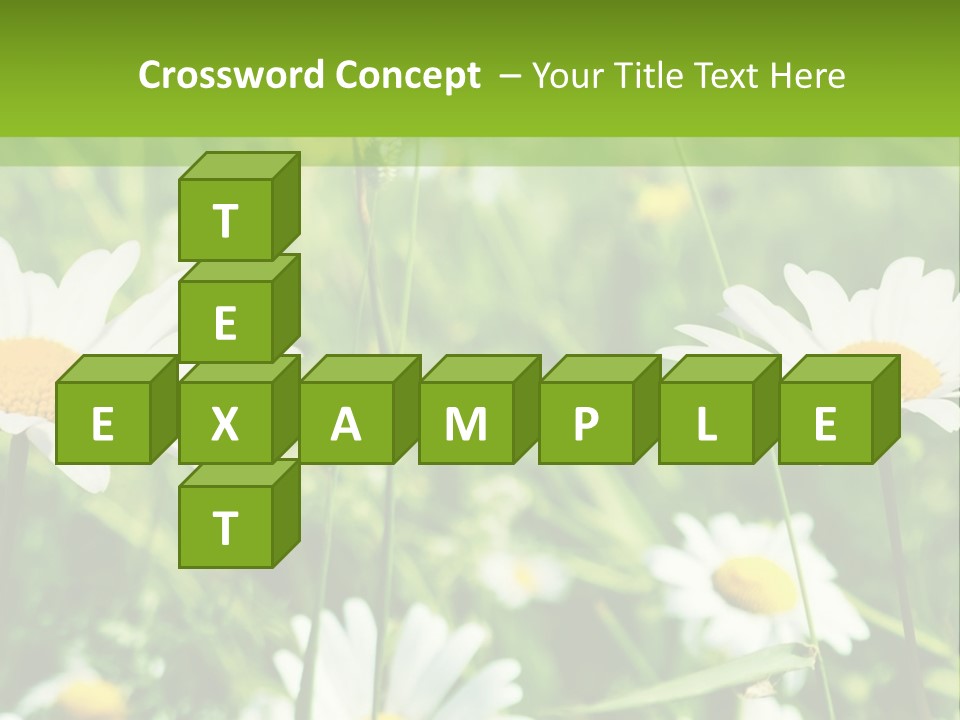 A Field Of Daisies Powerpoint Template PowerPoint Template