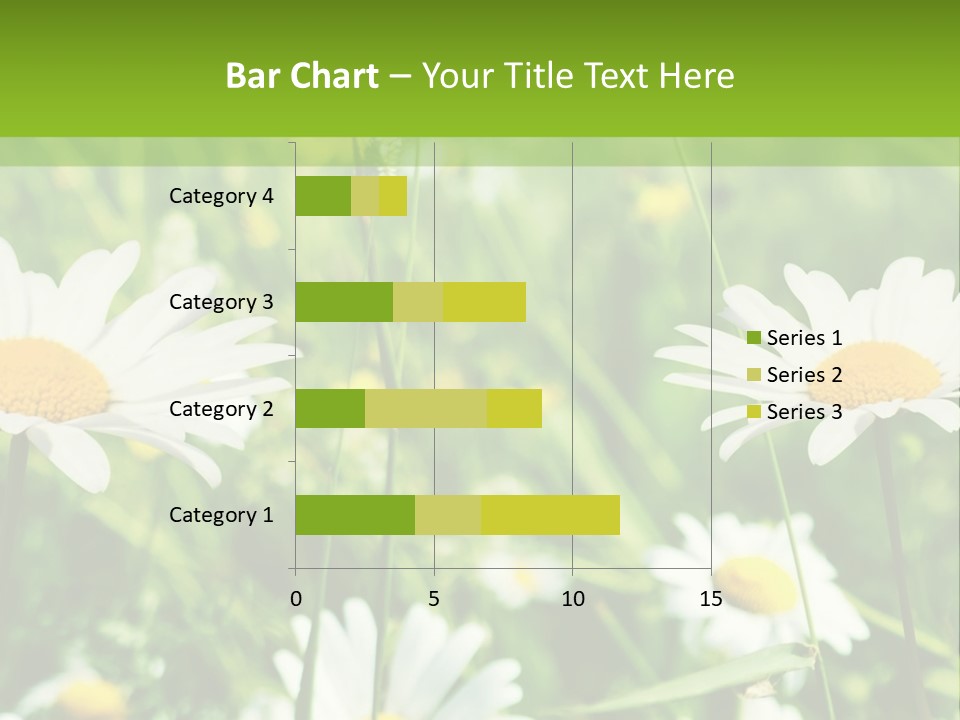 A Field Of Daisies Powerpoint Template PowerPoint Template