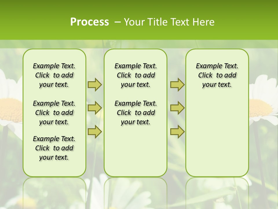 A Field Of Daisies Powerpoint Template PowerPoint Template