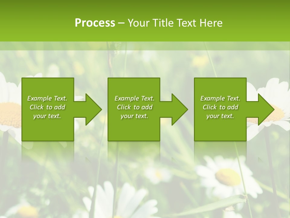 A Field Of Daisies Powerpoint Template PowerPoint Template