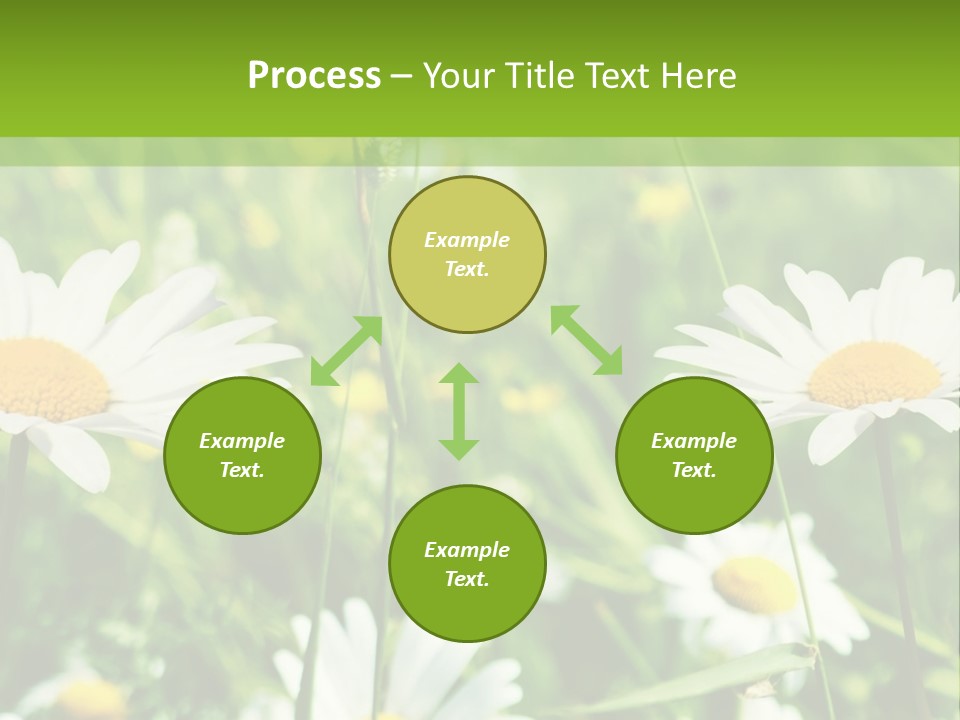 A Field Of Daisies Powerpoint Template PowerPoint Template