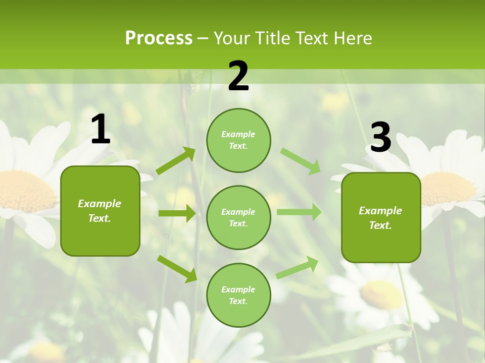 A Field Of Daisies Powerpoint Template PowerPoint Template