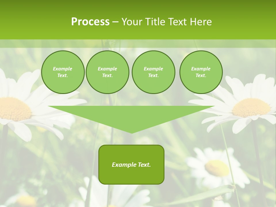 A Field Of Daisies Powerpoint Template PowerPoint Template