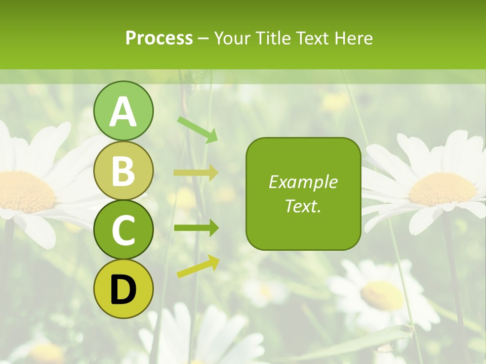 A Field Of Daisies Powerpoint Template PowerPoint Template