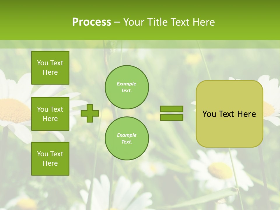 A Field Of Daisies Powerpoint Template PowerPoint Template