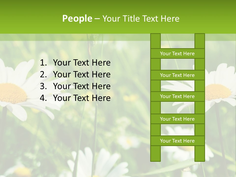 A Field Of Daisies Powerpoint Template PowerPoint Template