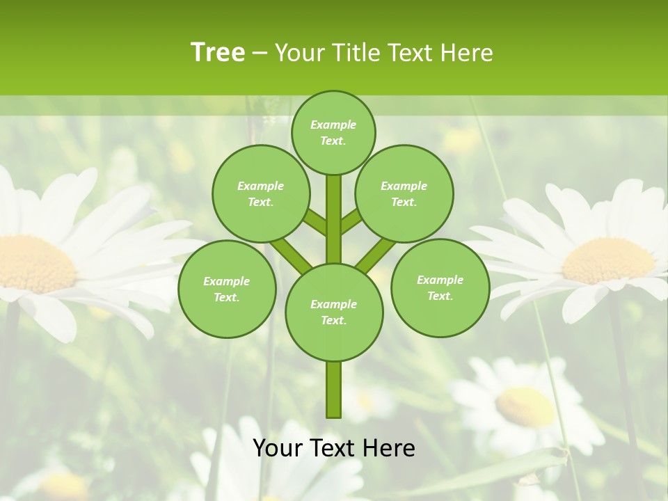 A Field Of Daisies Powerpoint Template PowerPoint Template