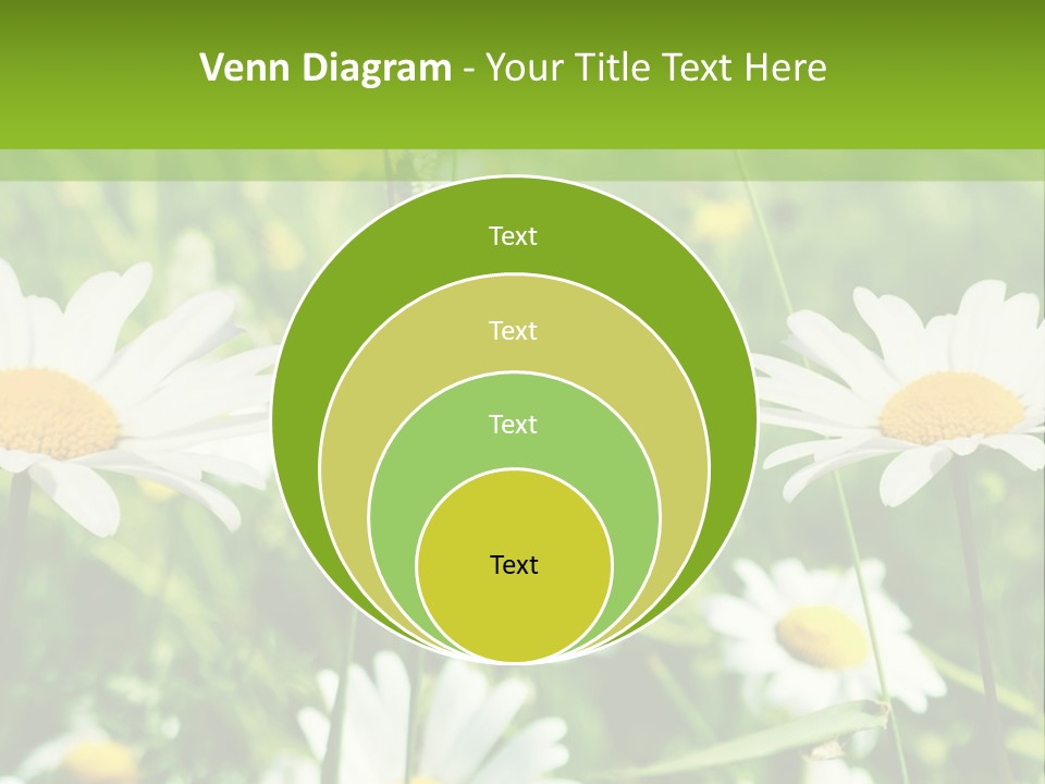A Field Of Daisies Powerpoint Template PowerPoint Template
