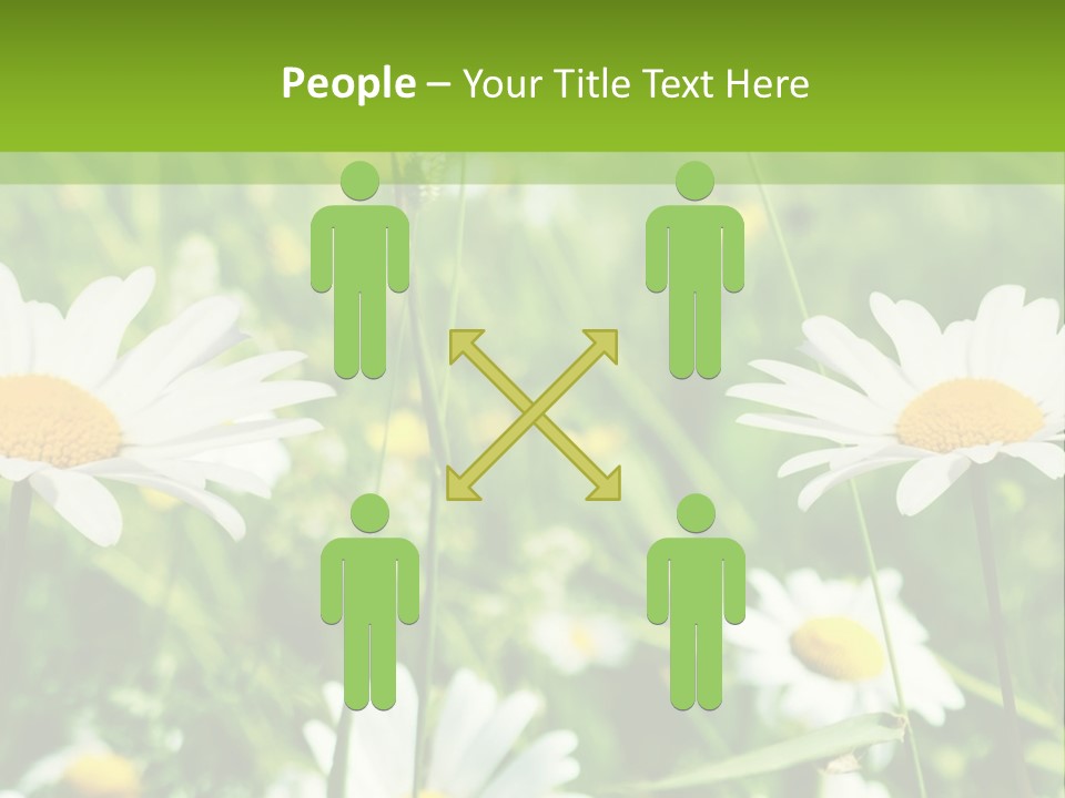 A Field Of Daisies Powerpoint Template PowerPoint Template