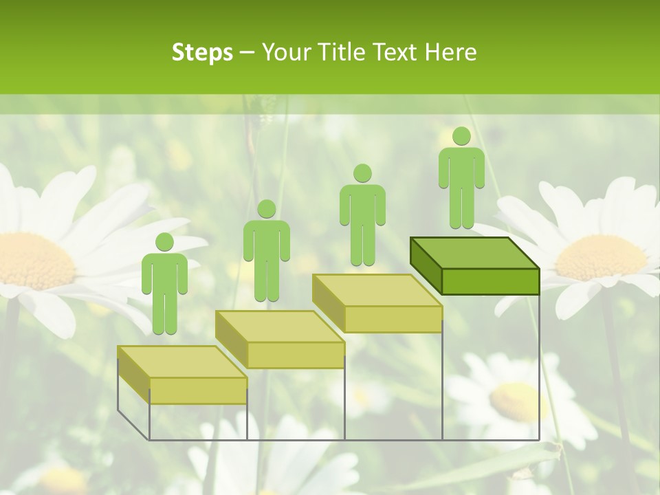 A Field Of Daisies Powerpoint Template PowerPoint Template