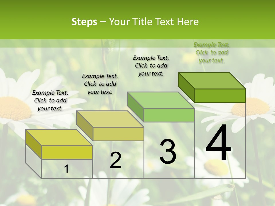 A Field Of Daisies Powerpoint Template PowerPoint Template