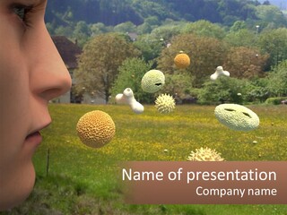 A Woman Is Looking At A Field Of Flowers PowerPoint Template