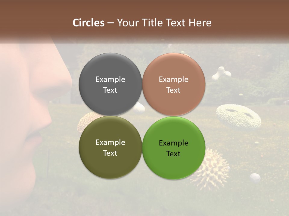 A Woman Is Looking At A Field Of Flowers PowerPoint Template