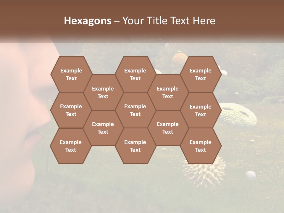 A Woman Is Looking At A Field Of Flowers PowerPoint Template