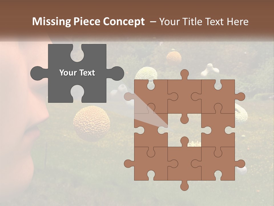 A Woman Is Looking At A Field Of Flowers PowerPoint Template