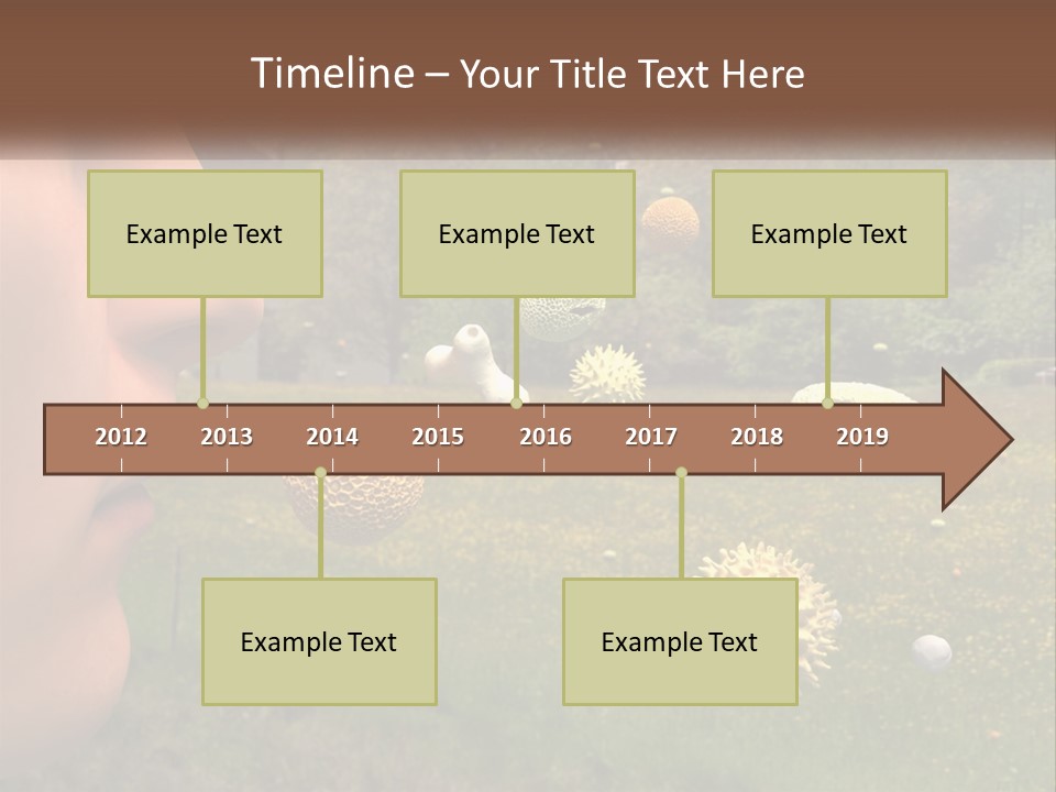 A Woman Is Looking At A Field Of Flowers PowerPoint Template