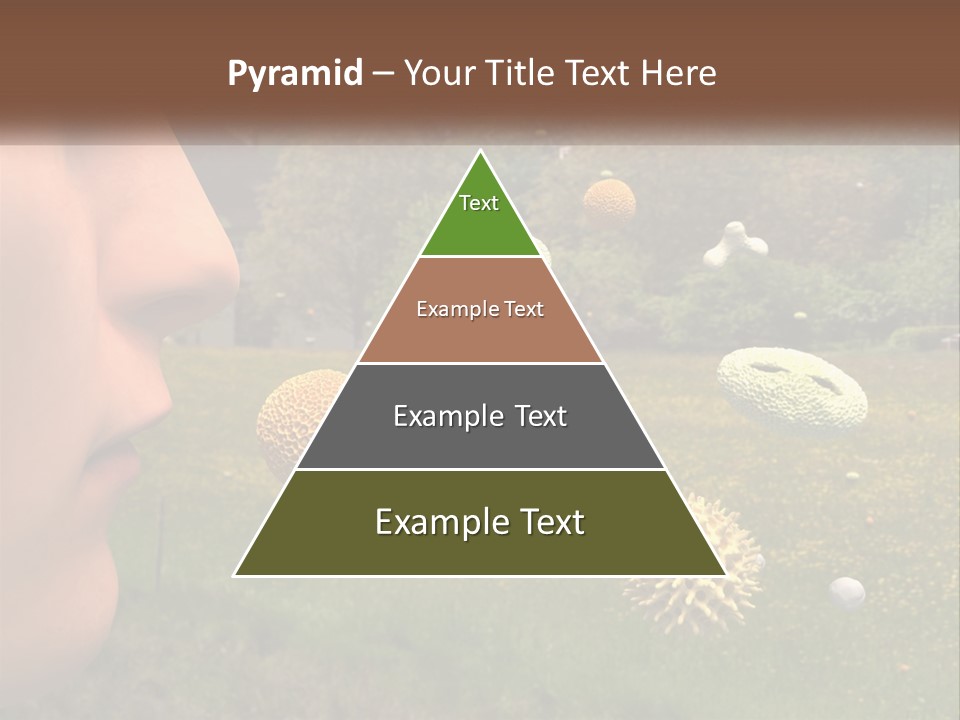 A Woman Is Looking At A Field Of Flowers PowerPoint Template