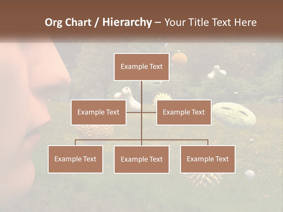 A Woman Is Looking At A Field Of Flowers PowerPoint Template