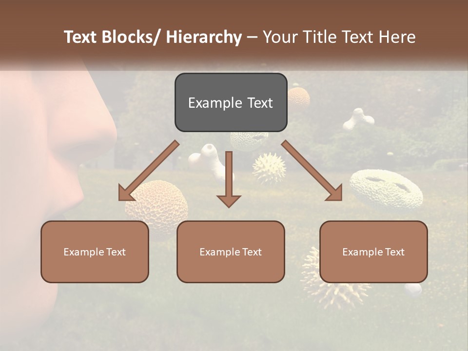 A Woman Is Looking At A Field Of Flowers PowerPoint Template