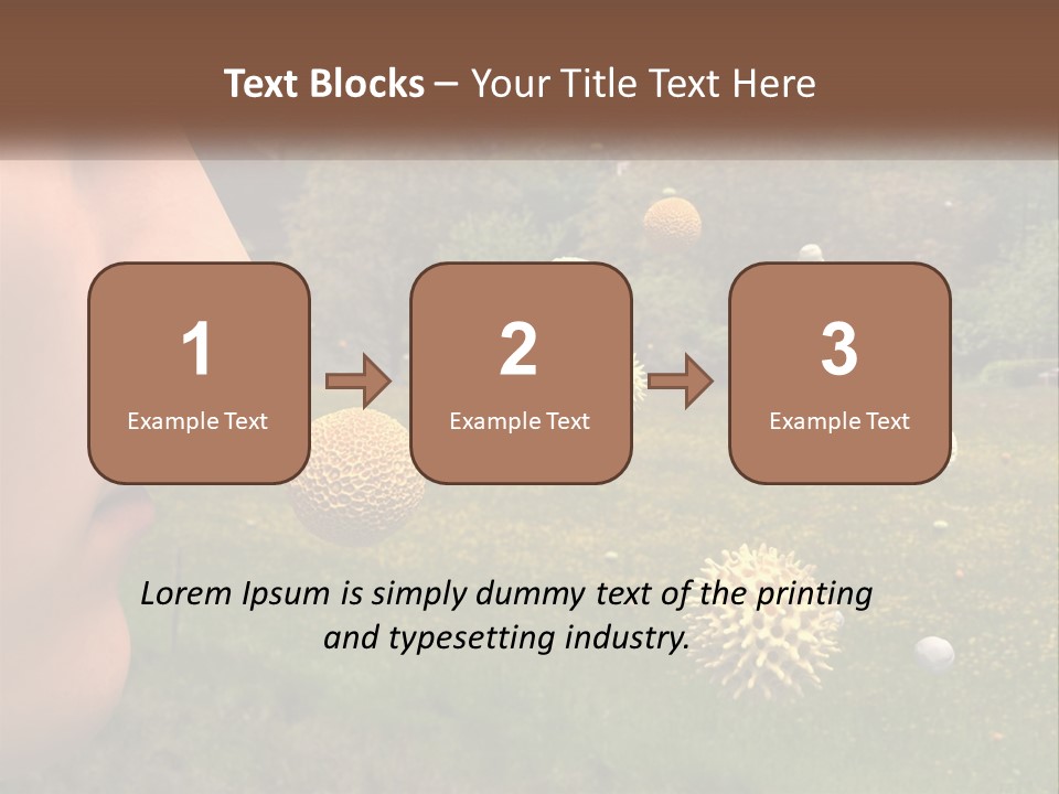 A Woman Is Looking At A Field Of Flowers PowerPoint Template