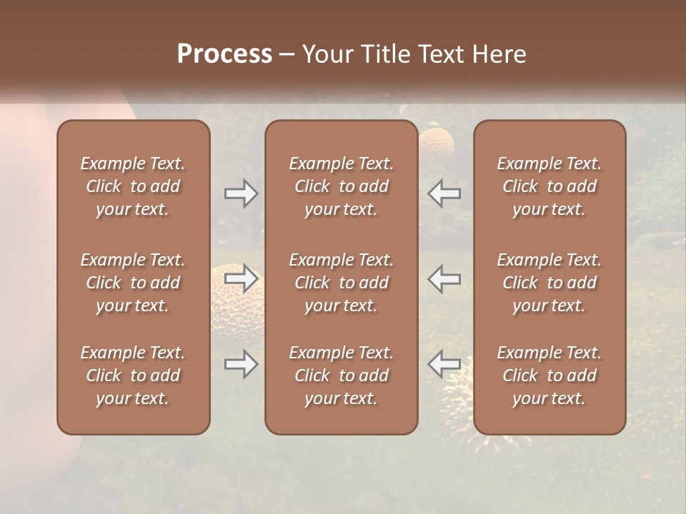 A Woman Is Looking At A Field Of Flowers PowerPoint Template