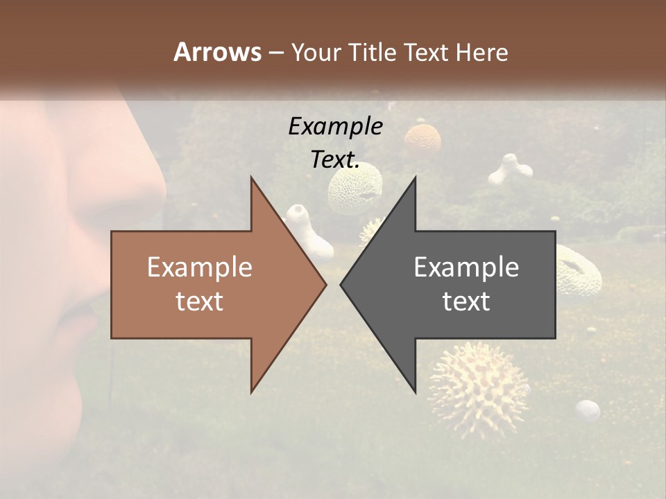 A Woman Is Looking At A Field Of Flowers PowerPoint Template