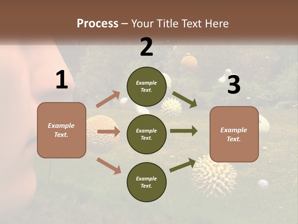 A Woman Is Looking At A Field Of Flowers PowerPoint Template