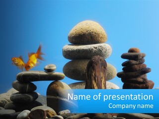 A Group Of Rocks Stacked On Top Of Each Other With A Goldfish In The PowerPoint Template