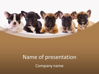 A Group Of Puppies Sitting Next To Each Other PowerPoint Template