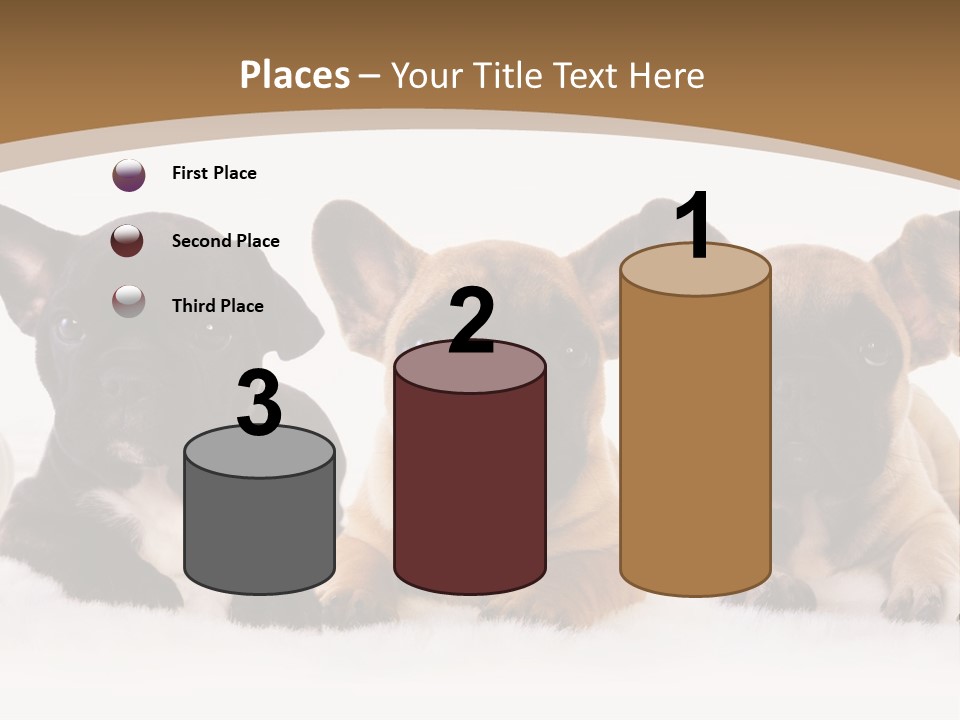 A Group Of Puppies Sitting Next To Each Other PowerPoint Template