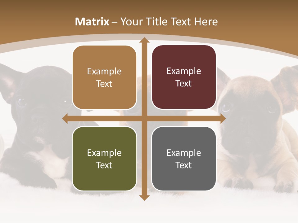 A Group Of Puppies Sitting Next To Each Other PowerPoint Template
