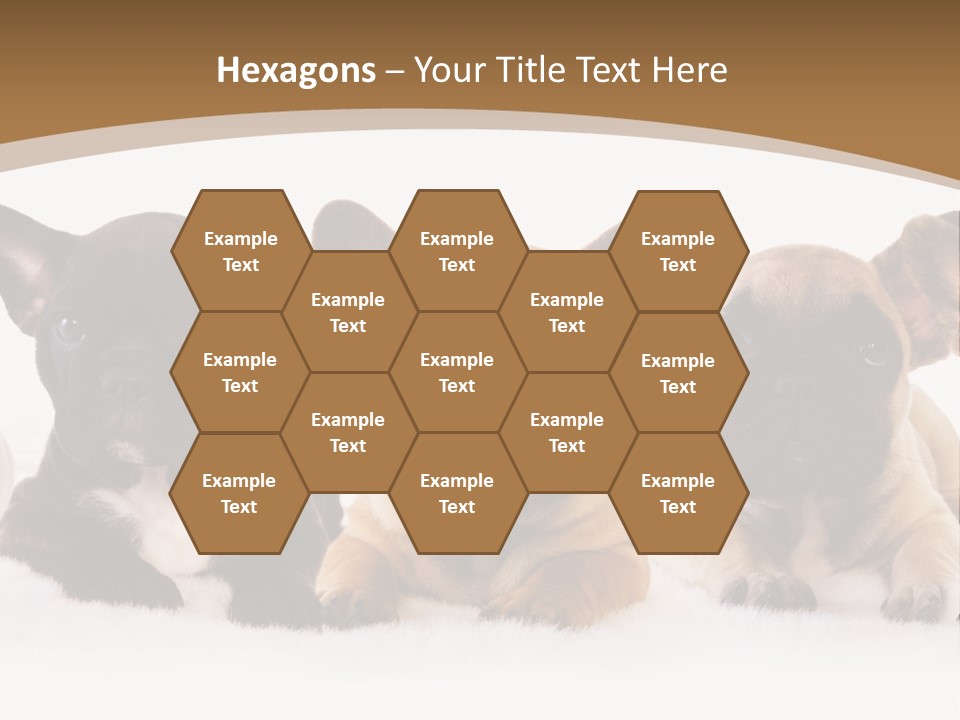 A Group Of Puppies Sitting Next To Each Other PowerPoint Template