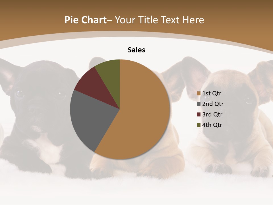 A Group Of Puppies Sitting Next To Each Other PowerPoint Template