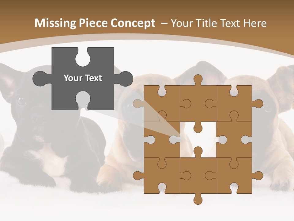 A Group Of Puppies Sitting Next To Each Other PowerPoint Template