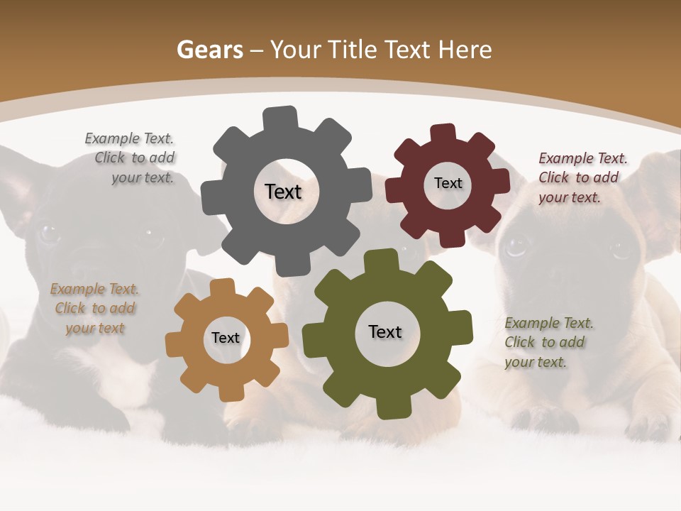 A Group Of Puppies Sitting Next To Each Other PowerPoint Template