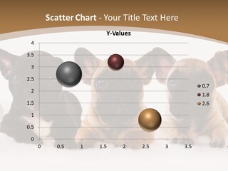 A Group Of Puppies Sitting Next To Each Other PowerPoint Template