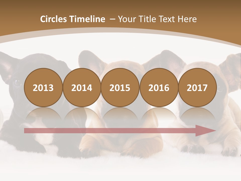 A Group Of Puppies Sitting Next To Each Other PowerPoint Template