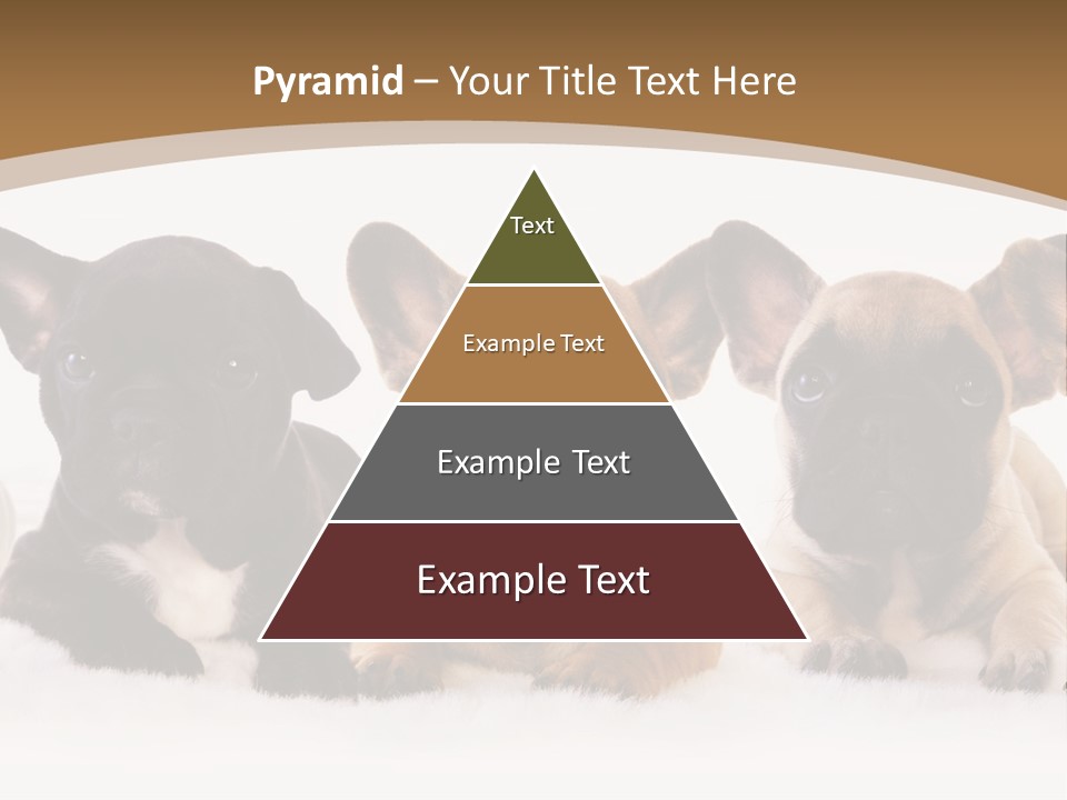 A Group Of Puppies Sitting Next To Each Other PowerPoint Template