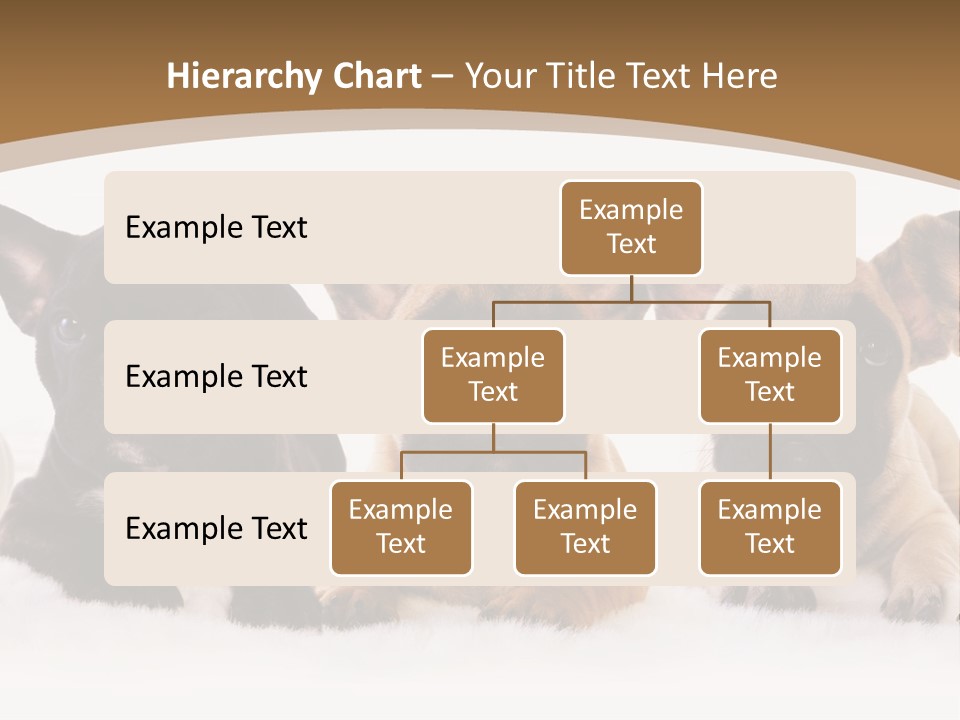 A Group Of Puppies Sitting Next To Each Other PowerPoint Template