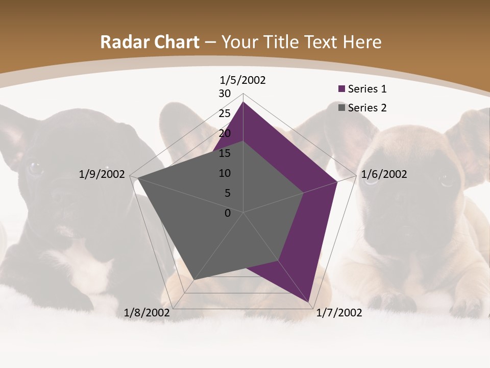 A Group Of Puppies Sitting Next To Each Other PowerPoint Template