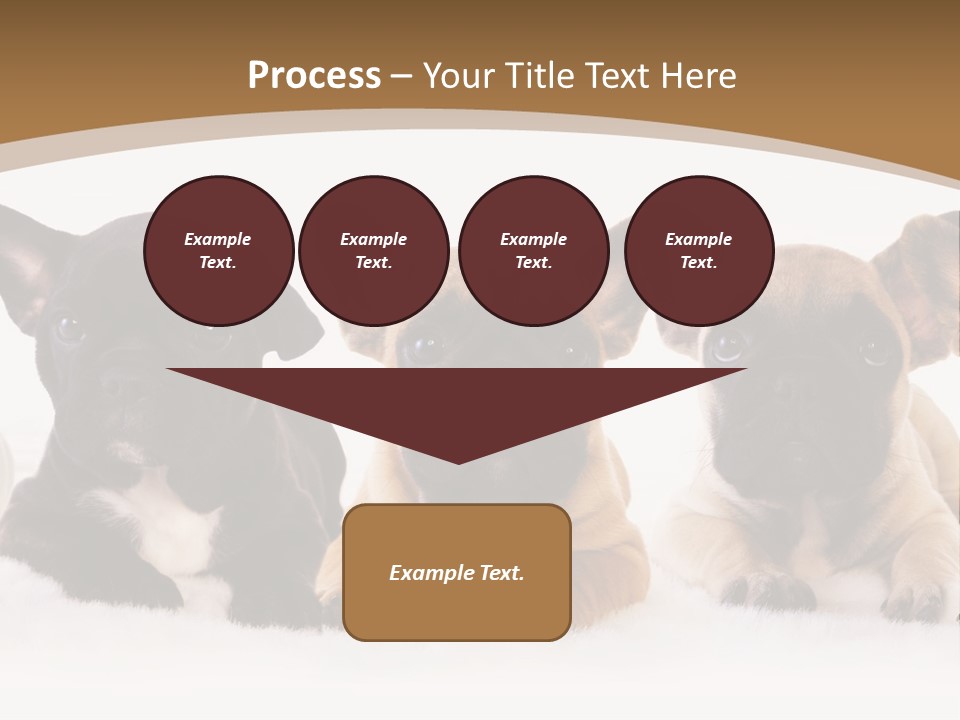 A Group Of Puppies Sitting Next To Each Other PowerPoint Template