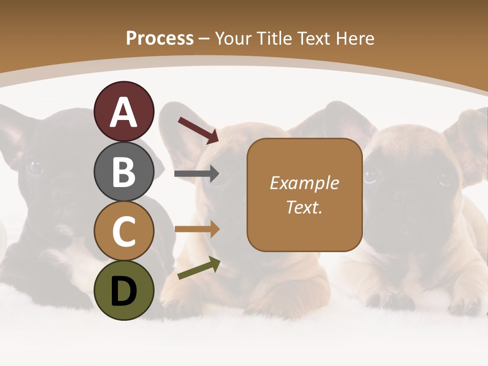 A Group Of Puppies Sitting Next To Each Other PowerPoint Template