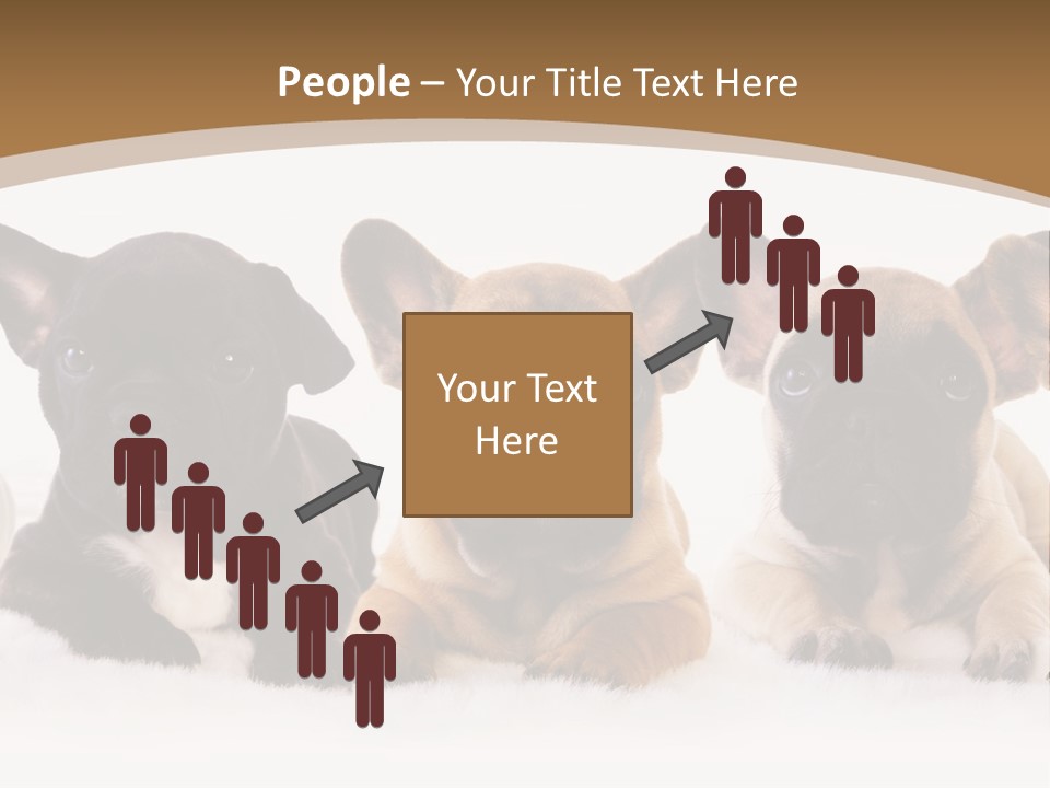 A Group Of Puppies Sitting Next To Each Other PowerPoint Template