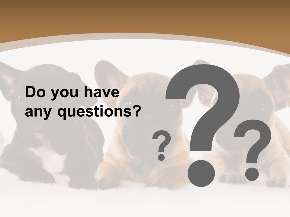 A Group Of Puppies Sitting Next To Each Other PowerPoint Template
