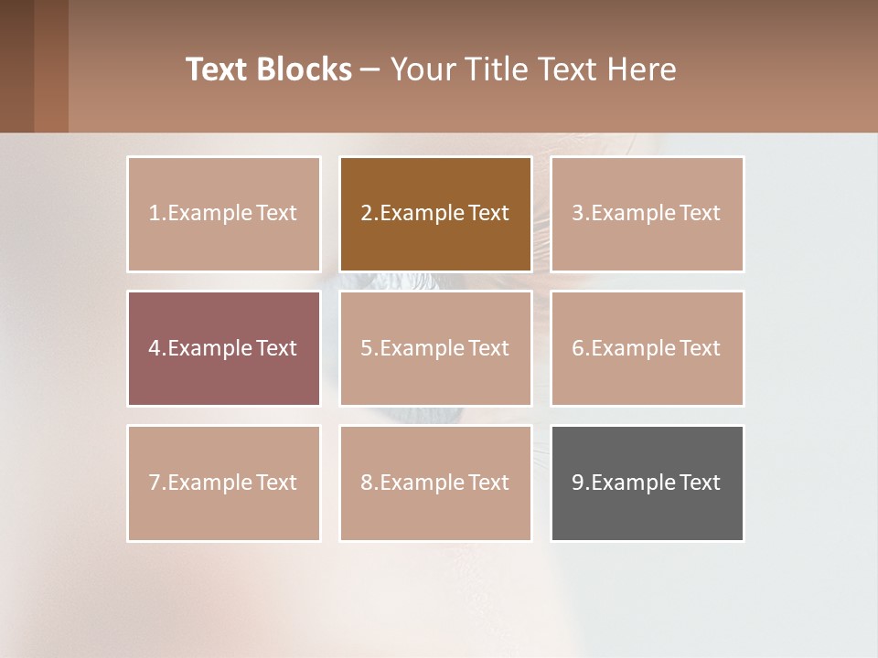 A Close Up Of A Blue Eye With A Brown Background PowerPoint Template