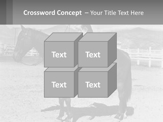 A Cat Sitting On The Back Of A Horse PowerPoint Template