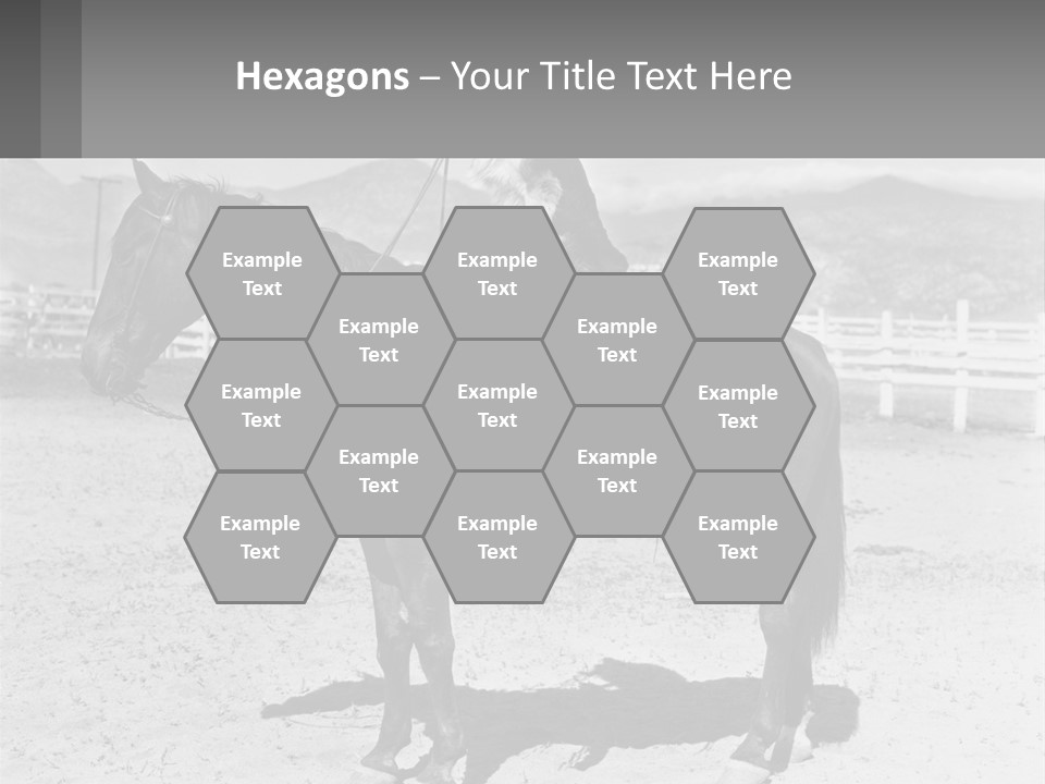 A Cat Sitting On The Back Of A Horse PowerPoint Template